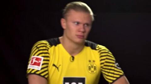 律活塞凭体 律活塞凭体